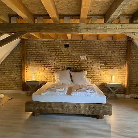 Leon Im Schloss Und Hofgut Langenzell Wiesenbach